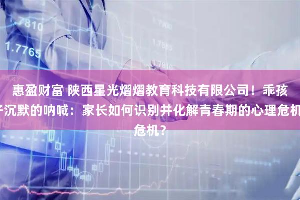 惠盈财富 陕西星光熠熠教育科技有限公司！乖孩子沉默的呐喊：家长如何识别并化解青春期的心理危机？