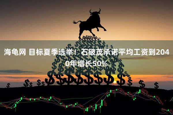海龟网 目标夏季选举！石破茂承诺平均工资到2040年增长50%