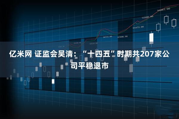 亿米网 证监会吴清：“十四五”时期共207家公司平稳退市