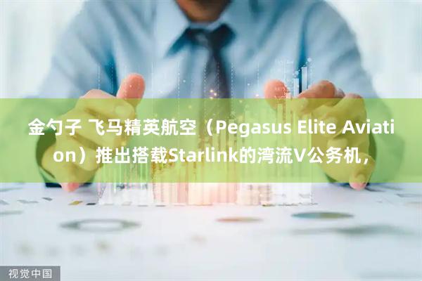 金勺子 飞马精英航空（Pegasus Elite Aviation）推出搭载Starlink的湾流V公务机，
