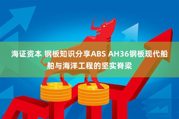 海证资本 钢板知识分享ABS AH36钢板现代船舶与海洋工程的坚实脊梁