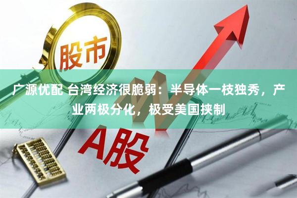 广源优配 台湾经济很脆弱：半导体一枝独秀，产业两极分化，极受美国挟制