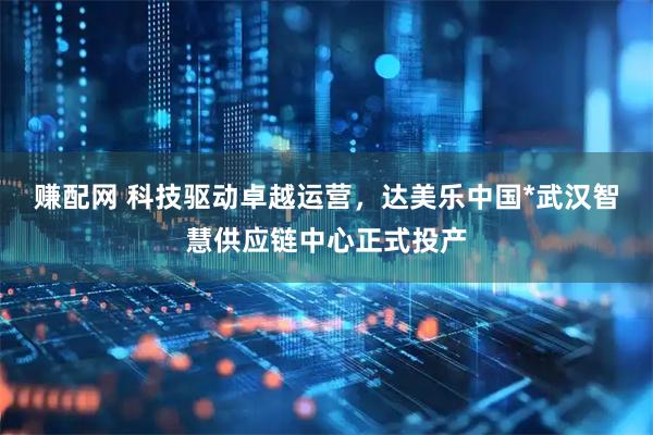 赚配网 科技驱动卓越运营，达美乐中国*武汉智慧供应链中心正式投产